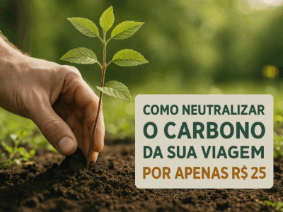 Como Neutralizar o Carbono da Sua Viagem Por Apenas R$ 25